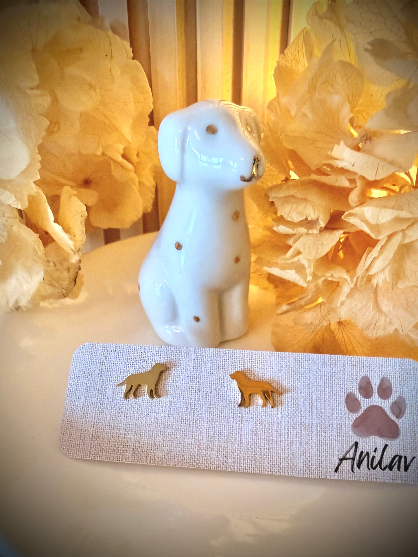 Labrador Ohrringe - Hund (Gold/Silber/Schwarz)