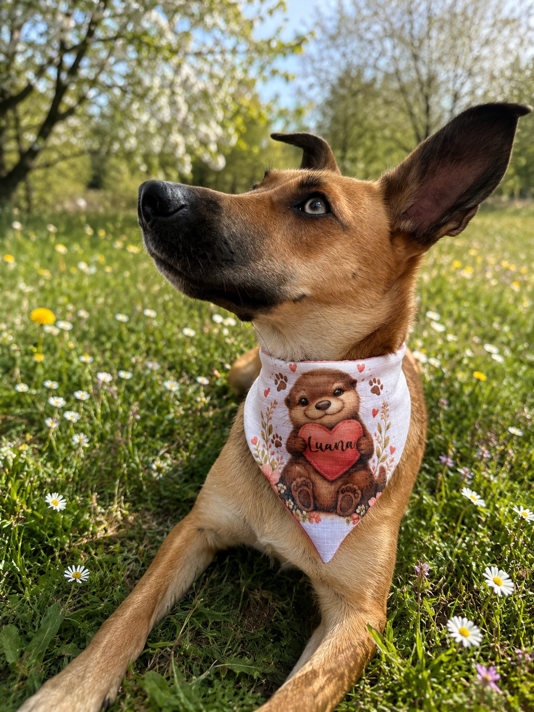 Scrunchie-Bandana - Otter - Musselin - Halstuch - personalisierbar