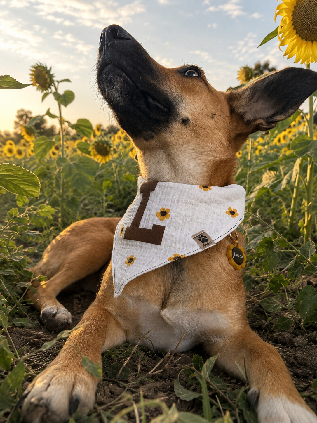 Dog Tag "Sonnenblume"- Flower Power Kollektion - Hundemarke Halsband Anhänger