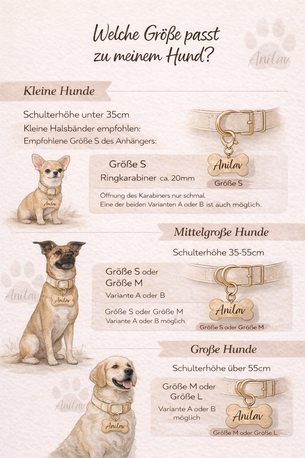Dog Tag "Matcha" - Starpups Kollektion - Anhänger Hundemarke Halsband