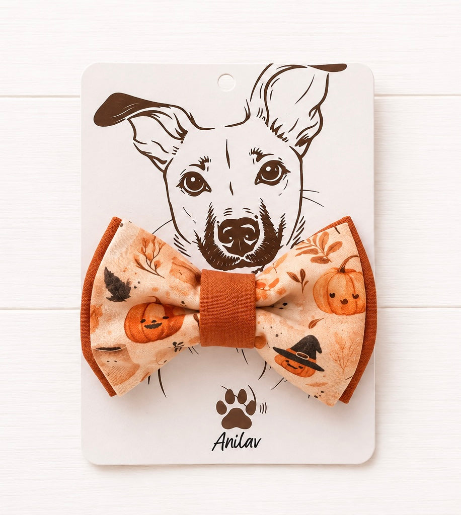 Hund Fliege Halsband - Pumpkin Spice - Herbst Halloween