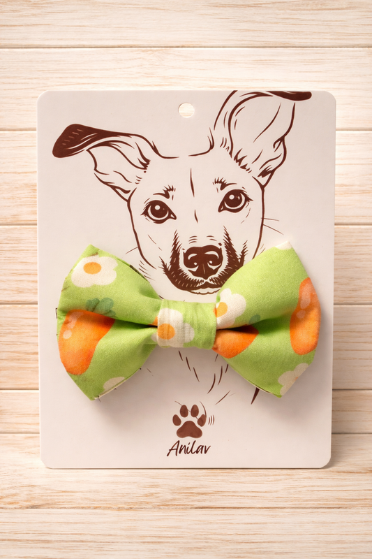 Hund Fliege Halsband - Karotte Ostern Frühling grün