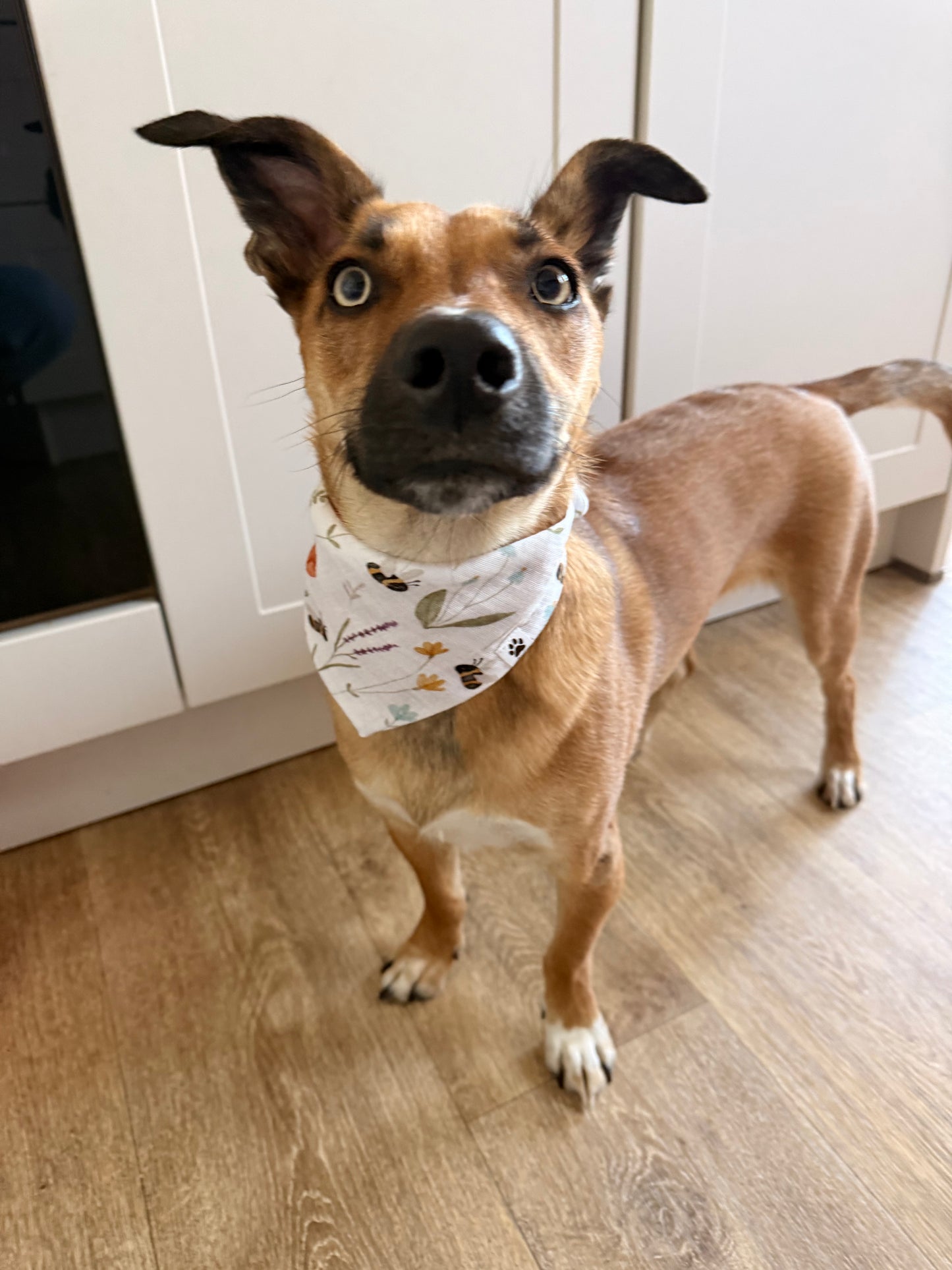 Scrunchie-Bandana - Hummel + Orange - Musselin - Halstuch