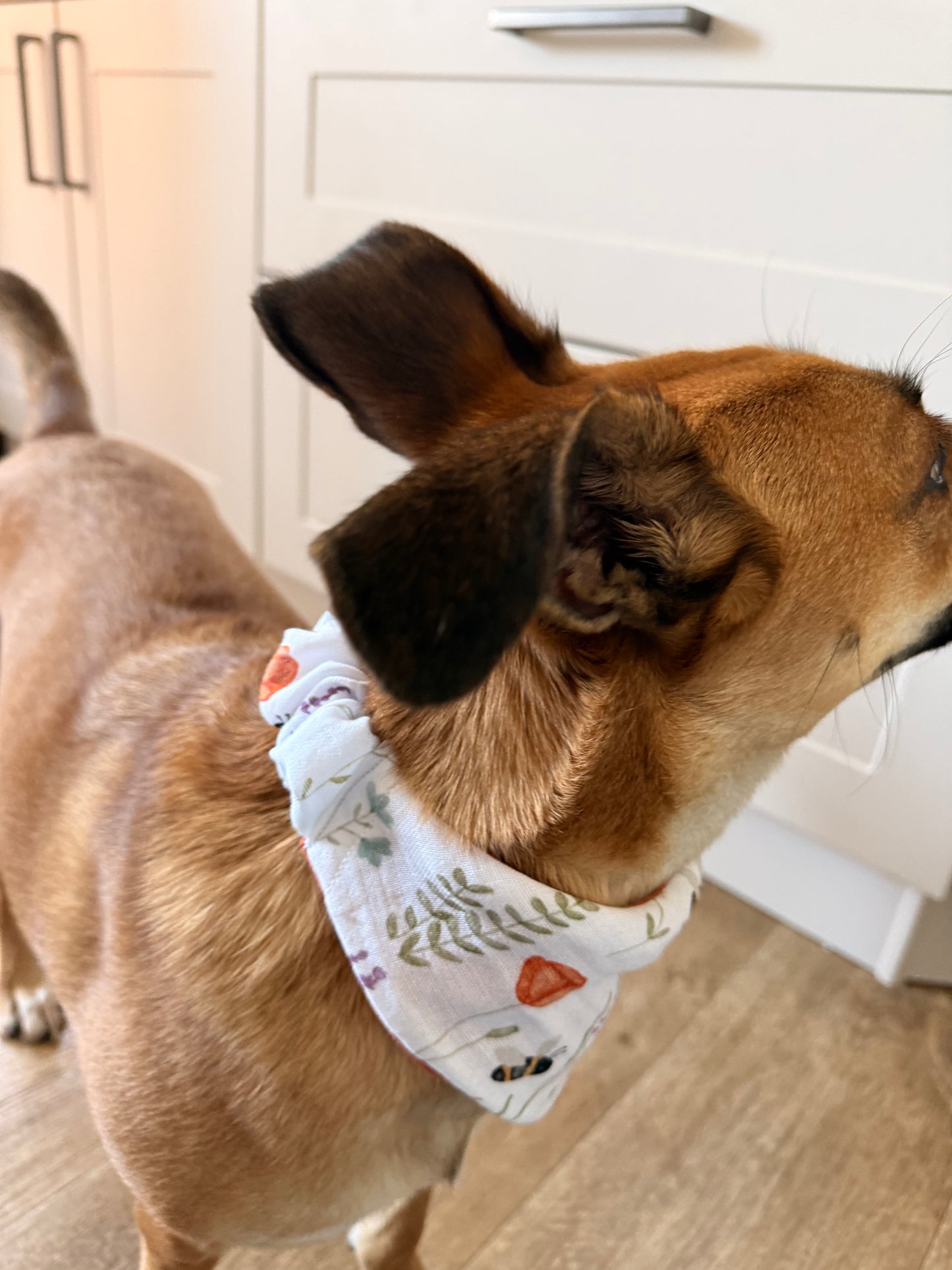 Scrunchie-Bandana - Hummel + Orange - Musselin - Halstuch