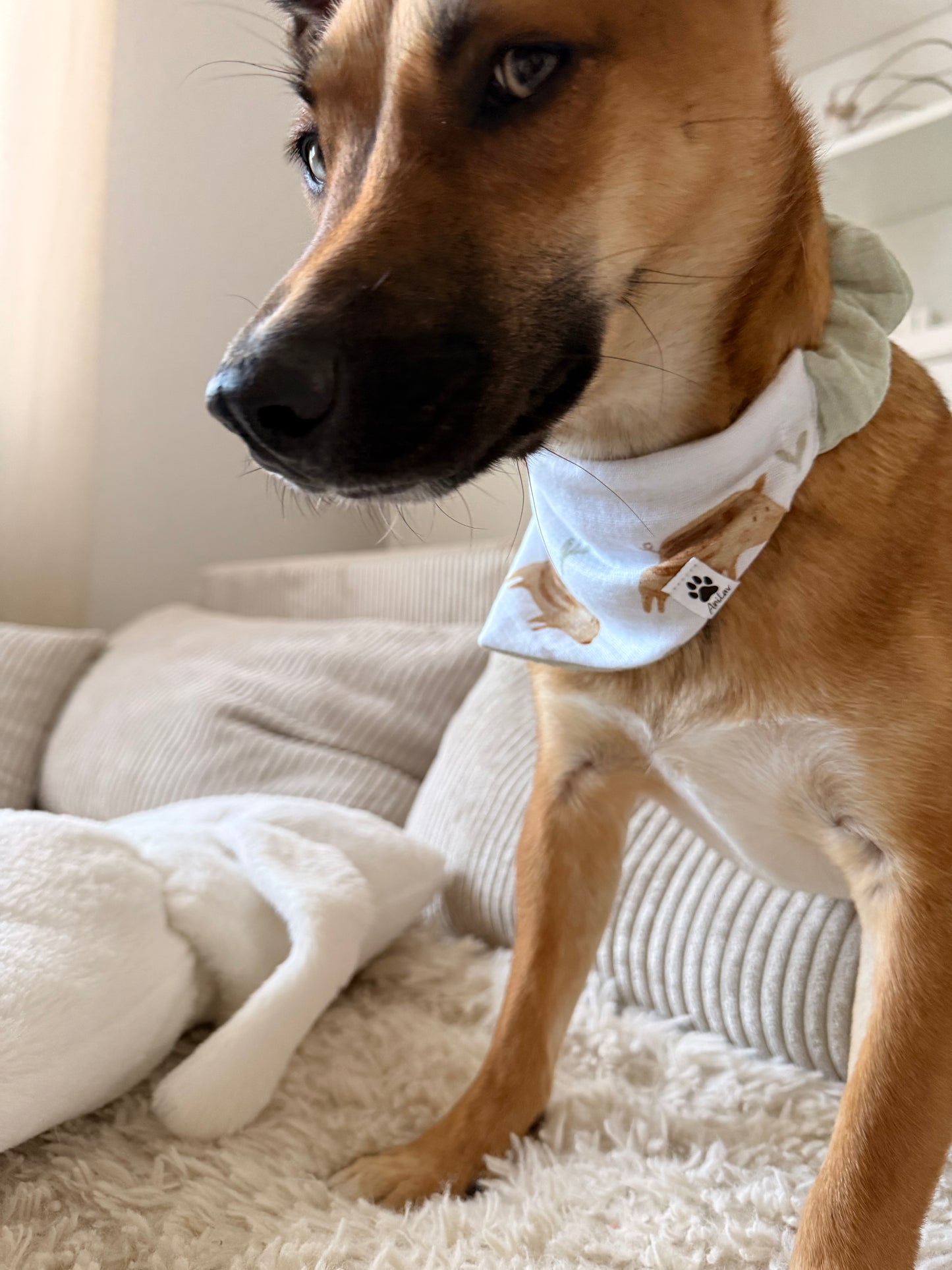 Scrunchie-Bandana - Wildschweine + Mint - Musselin - Halstuch