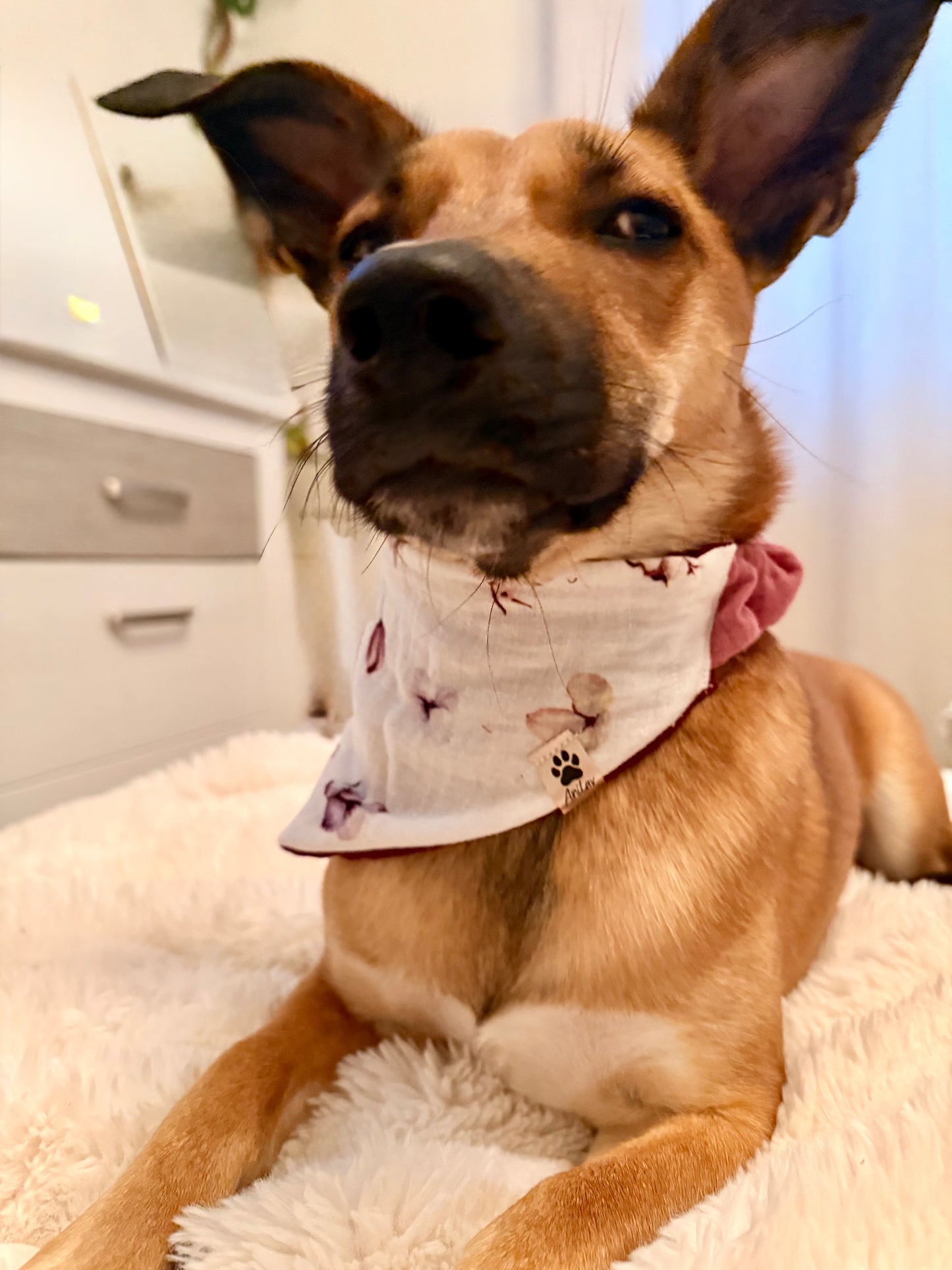 Scrunchie-Bandana - Trockenblumen + Lila/Brombeer - Musselin - Halstuch